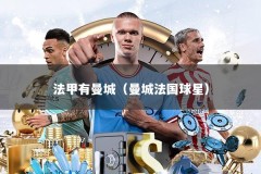 法甲有曼城（曼城法国球星）