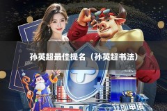 孙英超最佳提名（孙英超书法）