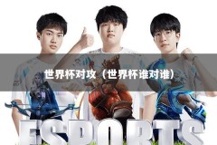 世界杯对攻（世界杯谁对谁）