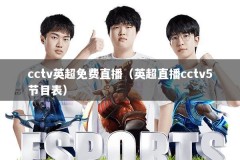 cctv英超免费直播（英超直播cctv5节目表）