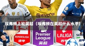 埃弗顿上轮英超（埃弗顿在英超什么水平）