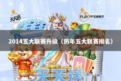 2014五大联赛升级（历年五大联赛排名）