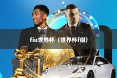 fiu世界杯（世界杯f组）