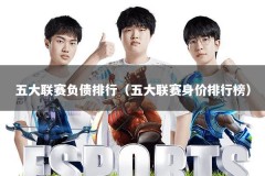 五大联赛负债排行（五大联赛身价排行榜）