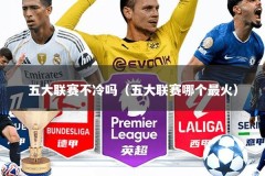 五大联赛不冷吗（五大联赛哪个最火）