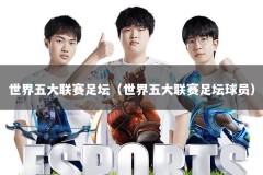 世界五大联赛足坛（世界五大联赛足坛球员）