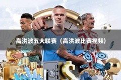 高洪波五大联赛（高洪波比赛视频）