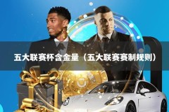 五大联赛杯含金量（五大联赛赛制规则）