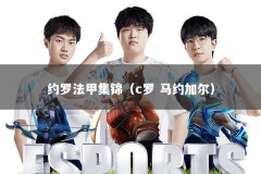 约罗法甲集锦（c罗 马约加尔）