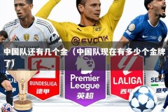中国队还有几个金（中国队现在有多少个金牌了）