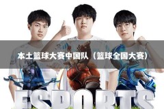 本土篮球大赛中国队（篮球全国大赛）