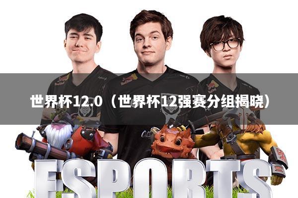 世界杯12.0(世界杯12强赛分组揭晓)